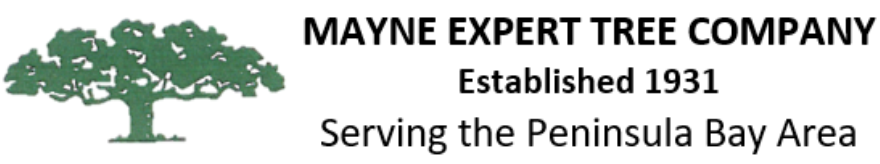 Mayne Expert Tree Company