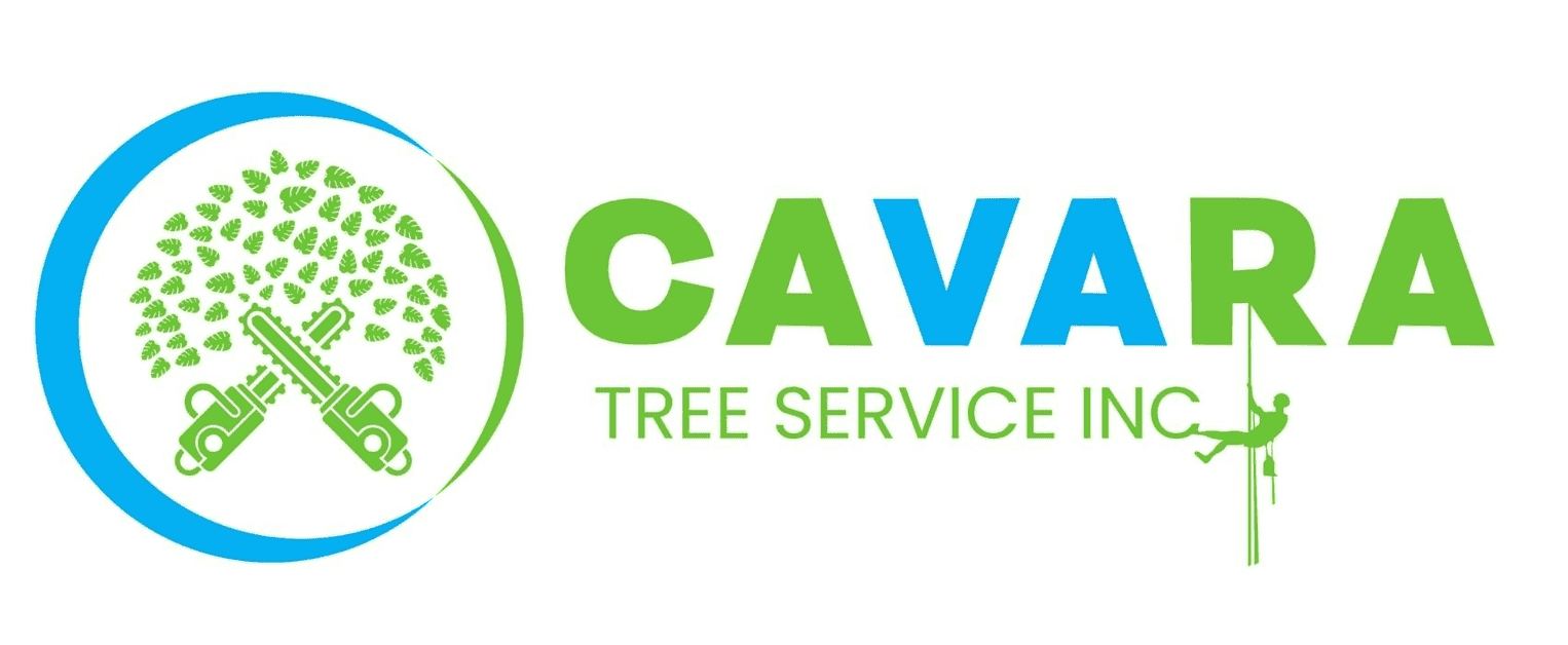Cavara Tree Service